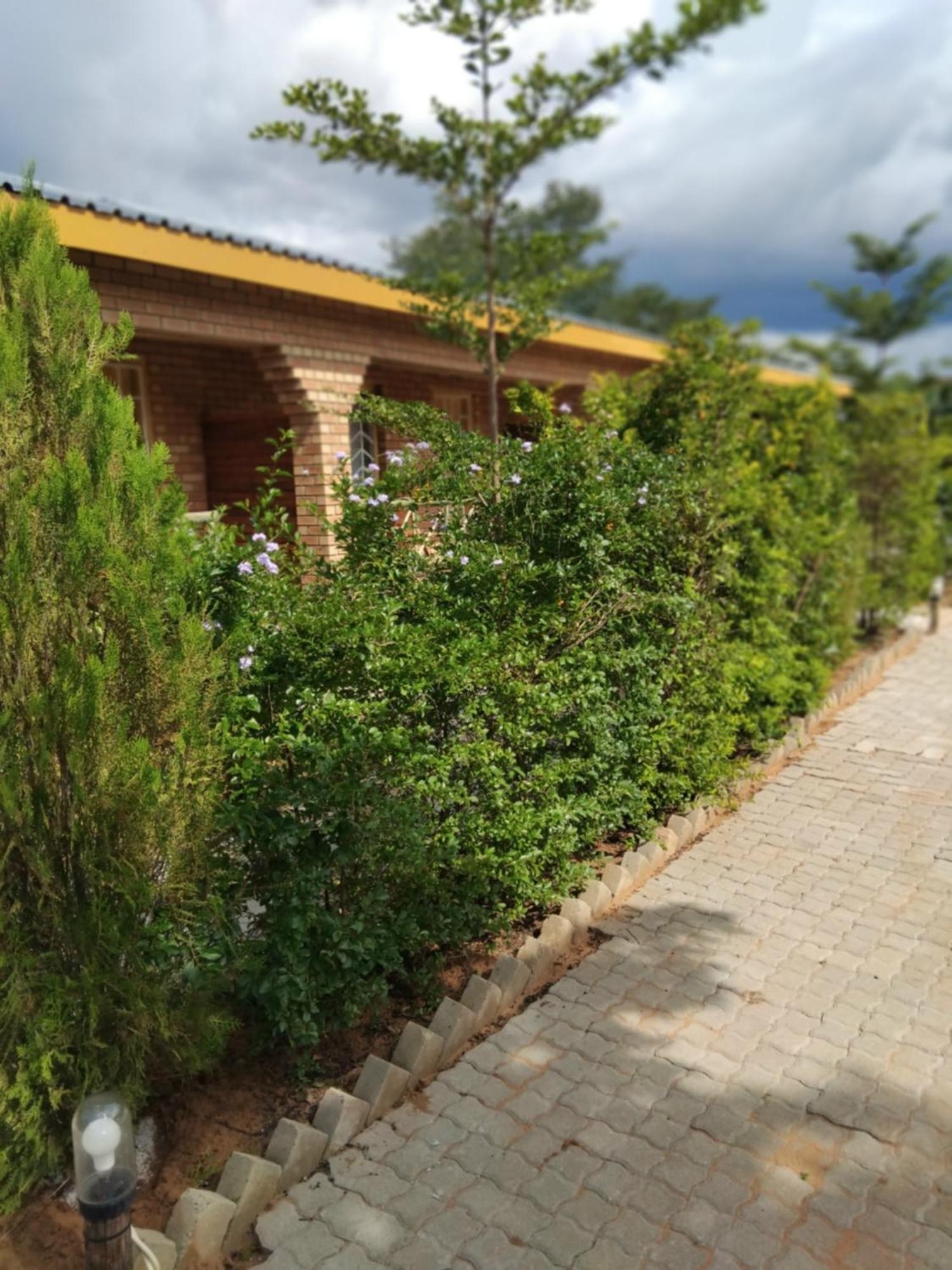 Sunshinevibe Guest House Kasane Buitenkant foto